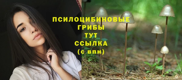 PSILOCYBIN Балахна