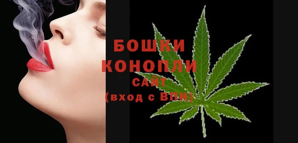 PSILOCYBIN Балахна